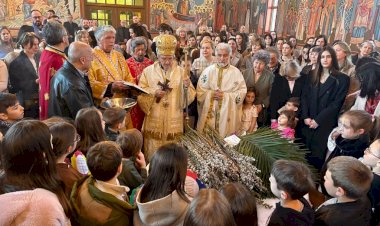 Цвети у Хамилтону